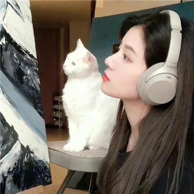 廉政风云 烟幕
